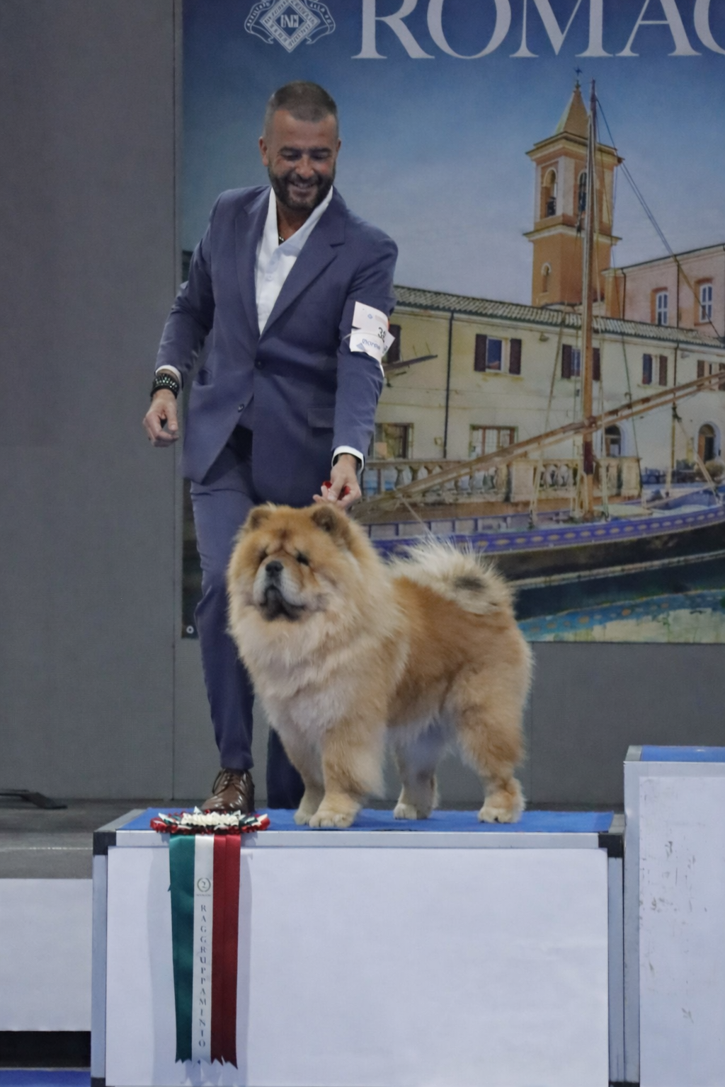 Duka maschio Chow Chow fulvo sul podio dei vincitori durante esposizione cinofila internazionale